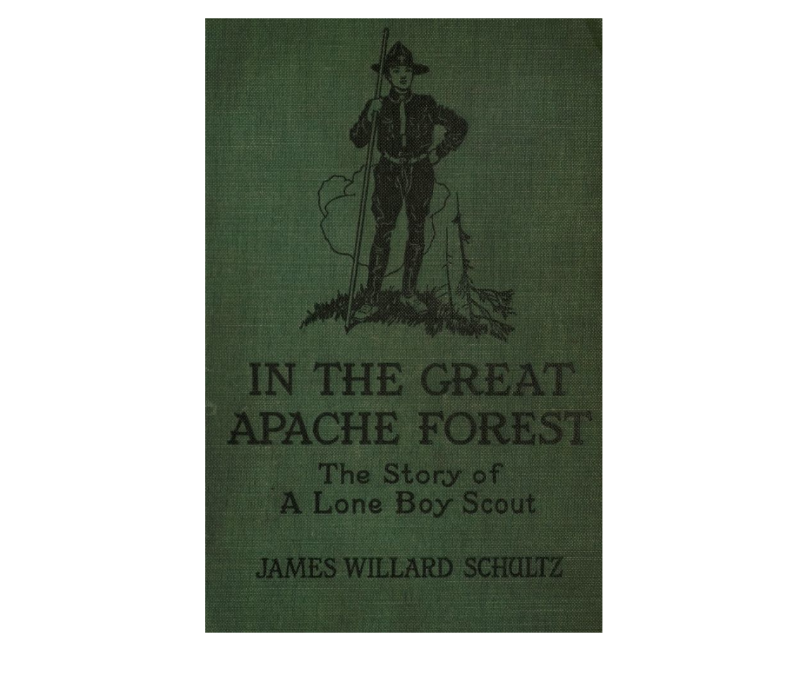 In the Great Apache Forest - Book Cover